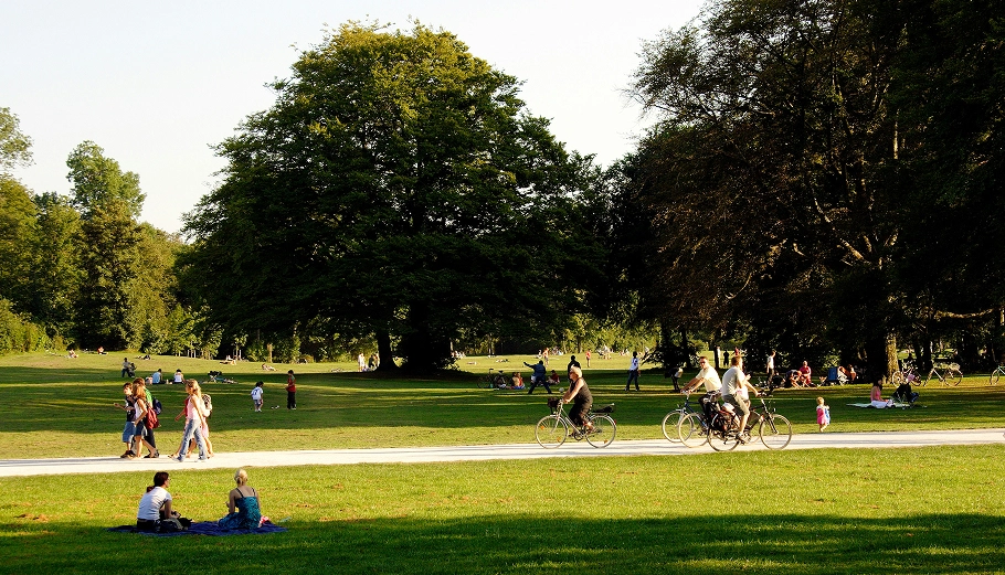 people at the park